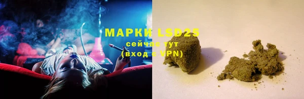 ПСИЛОЦИБИНОВЫЕ ГРИБЫ Армянск
