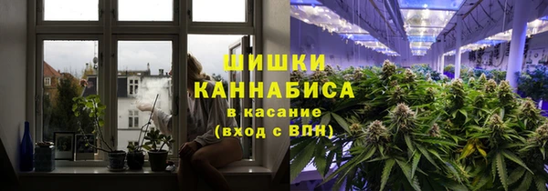 дурь Нягань
