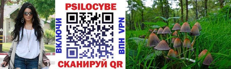 mega ссылка Болохово Псилоцибиновые грибы ЛСД